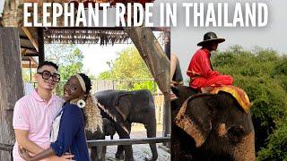 Unforgettable Elephant Adventure: At Damnoen  Elephant Park Thailand Live (Must-See Experience)