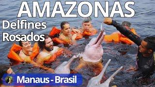 MANAUS BRASIL / TOUR NADAR  DELFINES  ROSADOS /TRIBUS INDIGENAS / ENCUENTRO DE LAS AGUAS #brasil .