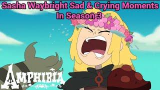 Sasha Waybright Sad & Crying Moments In Season 3 | Amphibia (S3 EP2B - S3 EP18) [HD]