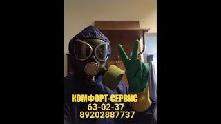 Как ИЗБАВИТЬСЯ от клопов и тараканов в старой квартире БЕЗ повторной ОБРАБОТКИ через 2 НЕДЕЛИ