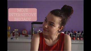 Moje internetové brigády | RECENZE