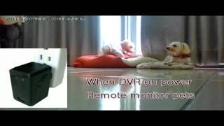 WiFi Adaptor Camera for 24/7 monitor - CIU Co., Ltd.