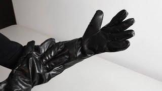 Darth Vader Gloves by Rubies