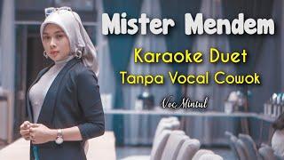 Mister Mendem Karaoke Tanpa Vocal Cowok || Voc Mintul #DuetinAja