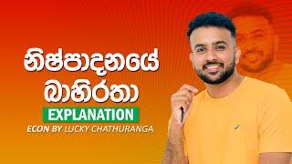 නිෂ්පාදනයේ බාහිරතා - 8th Lesson රාජ්‍ය ආර්ථිකය Economics || Lucky Chathuranga | A/L ECON