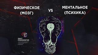 Проблема взаимосвязи физического (мозг) и ментального (психика) | Гость - философ, Антон Кузнецов