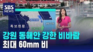 [날씨] 내일까지 강원 동해안 강한 비바람…최대 60mm 비 / SBS