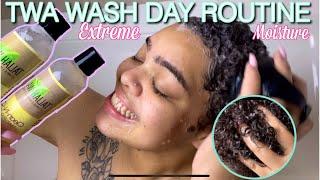 WASH DAY ROUTINE ON 3C/4A HAIR|| TWA edition **extreme moisture**