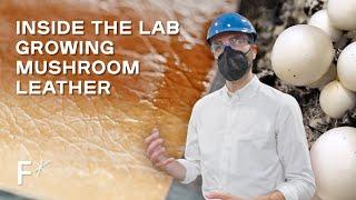 See Inside the Lab Growing Mushroom Leather | Freethink*