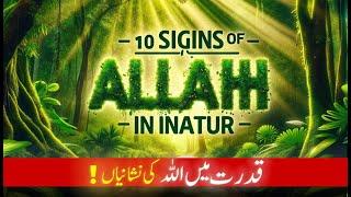 signs of ALLAH in nature | islam and nature | quran verses about beauty of nature | nature in islam