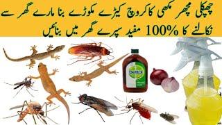 MAGIC Spray | Ghar Sy Chipkali Bhagny ka Tarika|ONE MINUTE Get Red Off AntsCockroach Lizard Home Fly