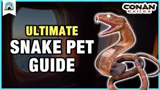 Snake Pet Guide: How to get COBRA & GIANT SNAKE Pets | Conan Exiles