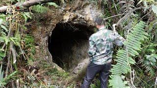 Wow! The villagers found mysterious stone caves, and there were 36 stone house underground