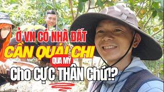 Cần Chi Đi Mỹ khi Tuổi Trẻ Có Nhà Đất Vườn Thế Này ở VN!?