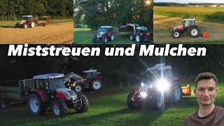 Endlich Mistfahren | Stoppeln Mulchen | Steyr | Bauernhofteam