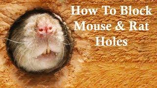 The Best Ways To Block Mouse/Rat Holes. Keep Rats Out of Your House. Mousetrap Monday