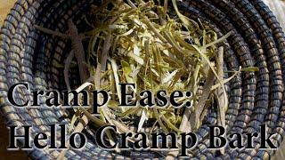 Cramp Ease: Hello Cramp Bark—Learn to Harvest, Prep & Use This Gift Of a Shrub