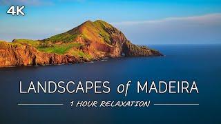 Landscapes of Madeira Island: 1 HOUR of Ambient Scenes with Relaxing Music (4K UHD Video)