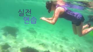 스노클링배우기  Snorkeling in jeju