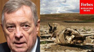 'An Alarm Bell To The World': Durbin Responds To IPCC Report Blaming Humans For Climate Change