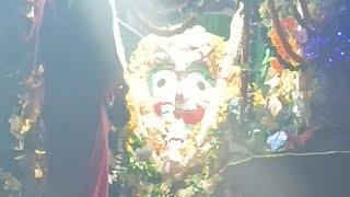 Ratha Yatra Live