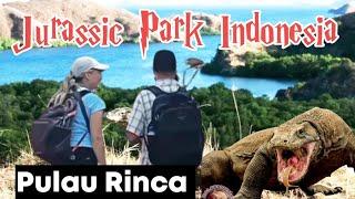 Takut Tapi Mau Foto Bersama KOMODO di Taman Nasional Komodo PULAU RINCA