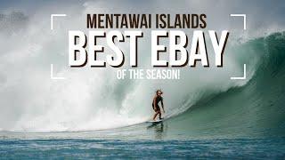 Best eBay of the season! 2024 swell Mentawai