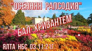 Ялта НБС 03 11 21г."Осенняя рапсодия" БАЛ ХРИЗАНТЕМ/Это надо видеть/Великолепие и восторг в Крыму!
