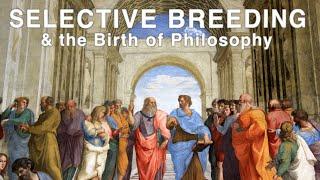 Selective Breeding & the Birth of Philosophy