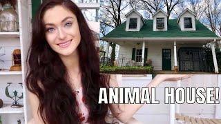 I BUILT MY ANIMALS THEIR OWN HOUSE