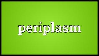 Periplasm Meaning