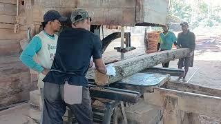 First Order Success! Watch Our Sawmill in Action