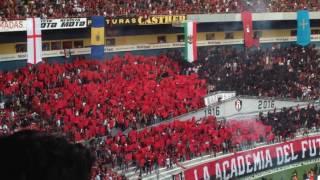 Recibimiento Barra 51 en el Centenario Rojinegro Atlas vs Newell's Old Boys | Zona Rojinegra