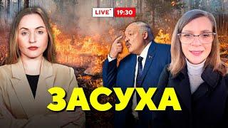 Аномалия года: что ждёт Беларусь летом? // Горячий комментарий