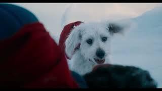 Superman l Trailer Oficial Dublado