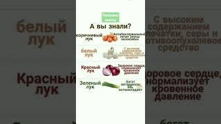 ПОЛЕЗНЫЕ ЗАМЕТКИ ВСЕ ПРО ЛУК/ Здоровье без таблеток  @Poleznie_zametki #полезныезнания #полезныесоветы