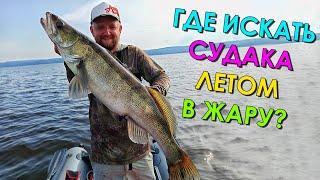 ПРИМАНКА УБИЙЦА СУДАКА СВОДИТ РЫБУ С УМА В ЖАРУ! ЛОВЛЯ СУДАКА ЛЕТОМ НА ДЖИГ! Рыбалка на судака 2021