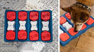 The Nina Ottosson L2 Dog Puzzle is FUN and WELL-BUILT