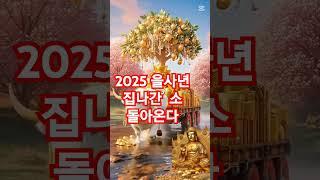 2025년 을사년 항마진언 소원성취기도 로또당첨기원 꼭!하루한번 술술술풀린다 집나간 재물복 돌아온다구설수소멸.관재수소멸.업장소멸.아들.딸 .건강 성공.시험합격.취업성공.공무원