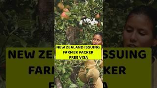 New Zealand Seasonal Work Visa 2025 | NEW ZEALAND  FREE SEASONAL VISA 2025