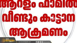 ആറളം ഫാമില്‍ വീണ്ടും കാട്ടാന ആക്രമണംചെത്തു തൊഴിലാളിക്ക് പരിക്ക് | Kannur