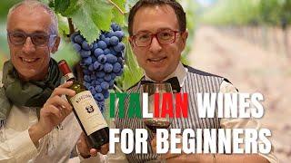 Italian wines for beginners -  A beginner guide to Italian wines