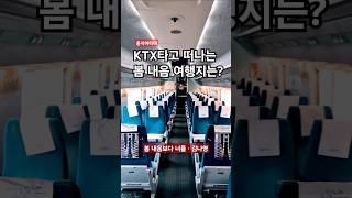 KTX 10호차 타고 봄내음 가득한 여행지 #여행