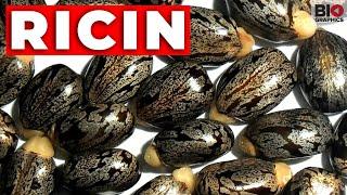 Ricin: The Perfect Poison