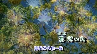 02-077    くちなしの花（梔子花）音圓 984786/43283  金嗓  40193