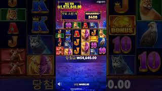 [슬롯] 버팔로 킹 메가웨이 (Buffalo King Megaways) ₩2,000,000 - 맥스윈 #슬롯 #슬롯머신 #프라그마틱 #slot