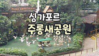  주롱새공원 l Jurong Bird Park l 랜선여행ㅣ엉뚱발랄