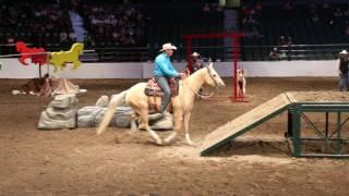 David Cowley - 2017 Calgary Stampede Cowboy Up Dog & Pony Team Challenge