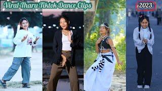 New Viral Tharu Tiktok 2023 | Tharuni Girls Tiktok Dance Video 2080 | #Tharutiktok