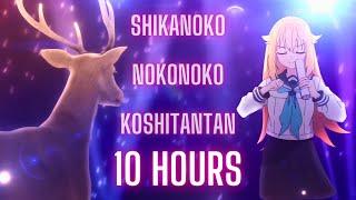 Shikanoko Nokonoko Koshitantan 10 Hours